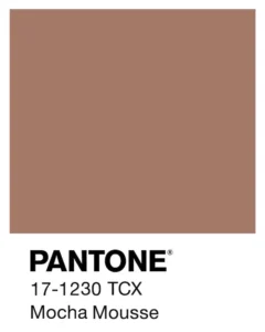 Balanced Taupe, Mocha Mousse