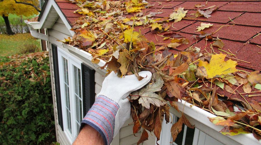 Getting Your Home Ready for the Fall Season: A Complete Guide by Qualy Plus